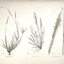 길상초등학교 이미지