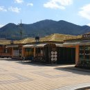 여량축산 Daum카페