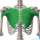 프레스밀 이미지