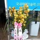 크린포에버 Daum카페