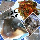 광어의전설 이미지