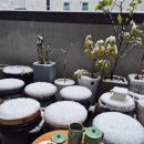 찐누룩 발효공방