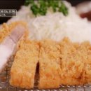 바이린 글로벌