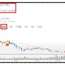 더튼튼동물약국 이미지