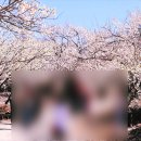 매화다방 - 시흥시 매화1로 18 | 매화다방