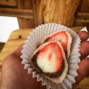 베리베리(very berry) 네이버블로그