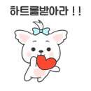 채리애견샵 네이버블로그