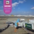 대한 | 부산 나리타 대한항공 후기 KE2129/2132, 기내식, 기종 솔직 리뷰