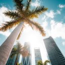 해외 여행영어(상당) 이미지