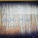 정선 가리왕산 케이블카 이미지