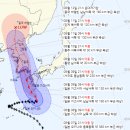 4239 이미지