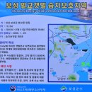 벌교생태공원 운동장 네이버블로그