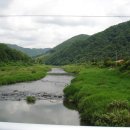 옛날토종닭 이미지