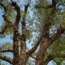 남해-190 이미지