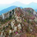 강진4호 이미지