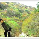 봄날오다 이미지