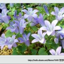 울룰라 이미지