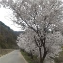 제천 청풍호 토지 매매 약 1만 500평형, 도로 접한 생산관리지역 이미지