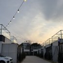 풀라운지 펜션&글램핑 | 강원도 숙소:: 독채 풀빌라 풀라운지펜션 이용 후기 (글램핑까지 덤 ♥)