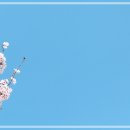 식물들의 소통 이미지