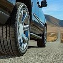 신어타이어 이미지