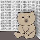 중앙블럭 이미지