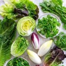 초록푸드 이미지