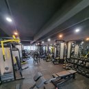 바디웰핏 이미지