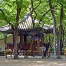 학동근린공원 Daum카페