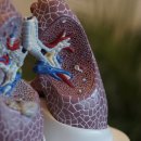 스위밍키즈 이미지