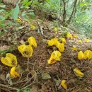 호텔미미 이미지