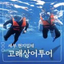 신기의료기사상점 | 세부 현지업체 오모팩 프라이빗 투어 후기 오슬롭 투말록폭포 모알보알