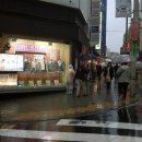 시부야 이미지