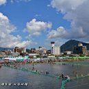 탐진한우 이미지