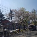올래복권 네이버블로그