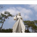 남양동산 이미지