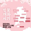 2021 전국 벚꽃 개화시기 이미지