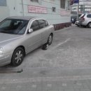 태화강 나룻배 이미지