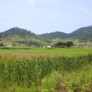 월촌보건진료소 이미지