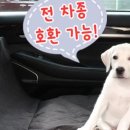 반월119안전센타 이미지