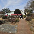 청양 별장&봄 이미지