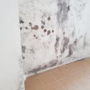 파크크리닝 이미지