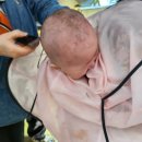 푸와대동점 | 6개월 아기 배냇머리 밀었어요 창원 령휘 미용실 추천