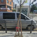 고림고등학교 이미지