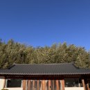 청도감성숙소 스테이아늑 | 근교/청도숙소] 청도 독채 한옥 감성숙소 청도 ‘수야스테이’ 내돈내산 솔직후기 | 촌캉스숙소, 자쿠지...