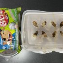 1키로탕수육양곡통진점 | 김포배달맛집_푸짐한 옛날탕수육 배달맛집, 1kg 탕수육 양곡통진점