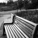 산빛 근린공원 이미지