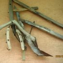 주성농장 이미지