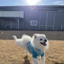 아이큰별유치원 이미지