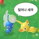 스토리미디어 이미지